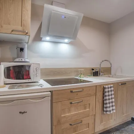 Avec Balcon Et Commodites Modernes Appartement Samoëns